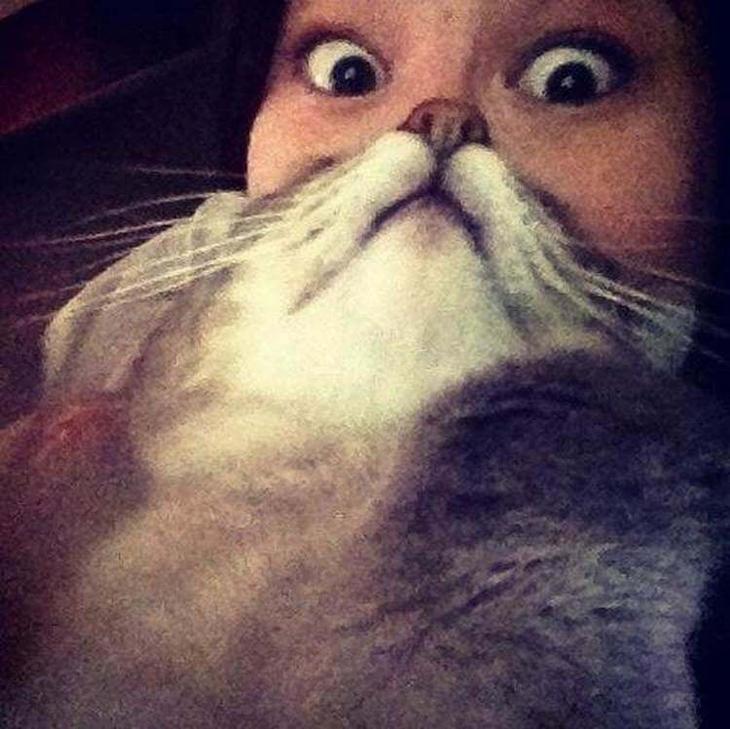 35 смешных до слез фотографии а-ля «в нужное время и в нужном месте» 35 смешных до слез фотографии а-ля «в нужное время и в нужном месте»