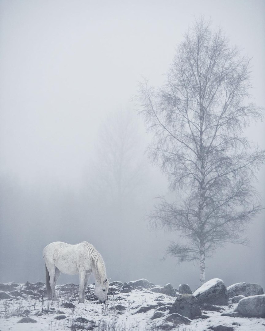 Классные картинки и милые фотографии из нашей жизни Классные картинки и милые фотографии из нашей жизни красивые фотографии,прикольные картинки,шикарные фотографии