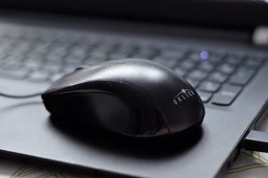 Разговор с деятелем культуры: работники Дома культуры «Гайдаровец» провели онлайн-интервью. Фото: Анна Быкова