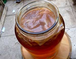 Чайный гриб: как правильно вырастить дома с нуля Чайный гриб: как правильно вырастить дома с нуля сделай сам