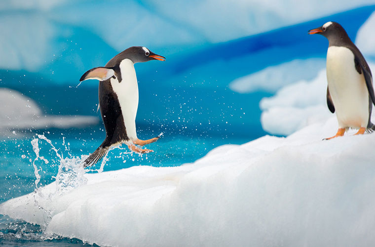 Антарктида: континент-рекордсмен