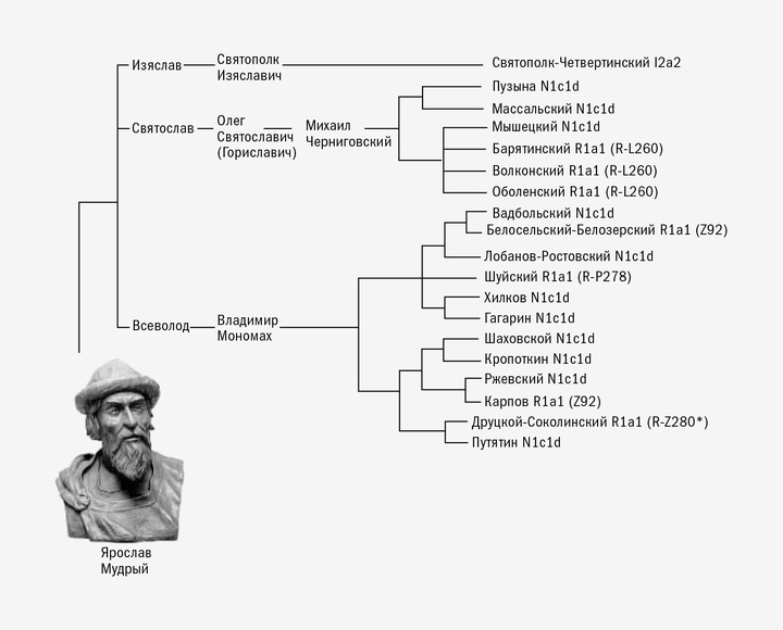 Карамзин против Мединского: что говорит генетика о происхождении Рюриковичей Карамзин против Мединского: что говорит генетика о происхождении Рюриковичей