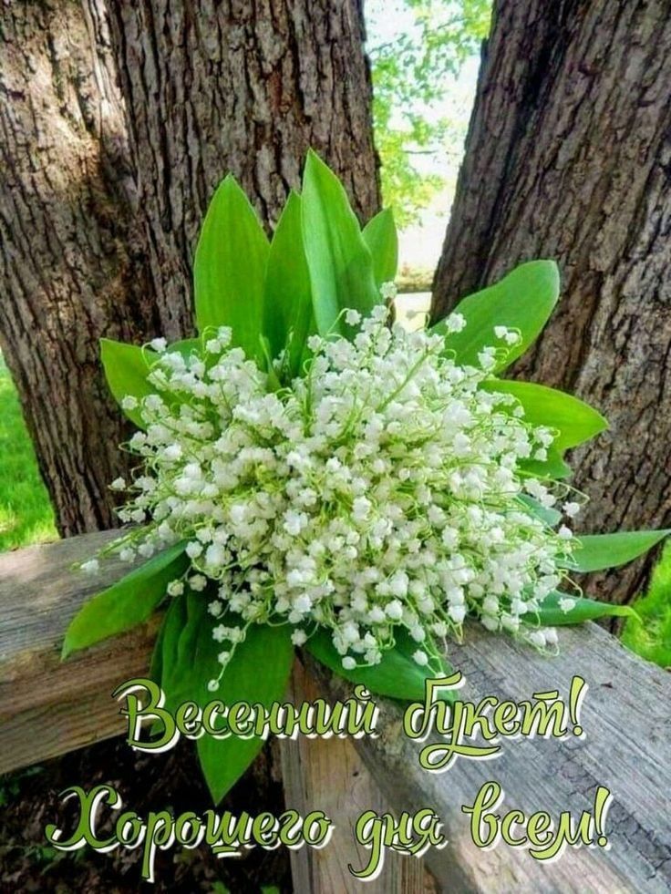 Юмор для хорошего настроения на весь день! 