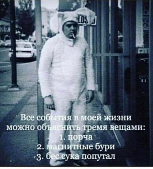 Яркая подборка с отменным юмором Яркая подборка с отменным юмором