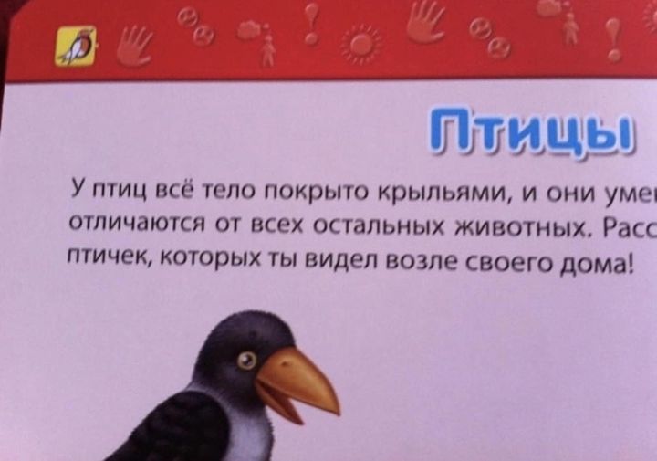 Возможно, это изображение (текст «птицы y птиц всё тело покрыто крыльями, и они уме отличаются от всех остальных животных. Pac птичек, которых ты видел видел возле своего дома!»)