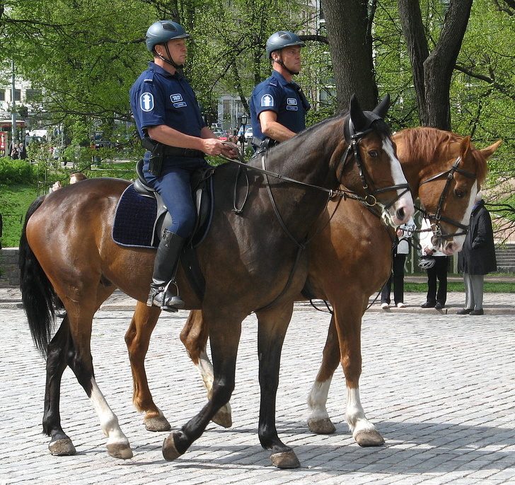 Запрет «Ну, погоди!» и ещё 15 фактов о стране, где живут самые счастливые люди Запрет «Ну, погоди!» и ещё 15 фактов о стране, где живут самые счастливые люди путешествие,страны,туризм
