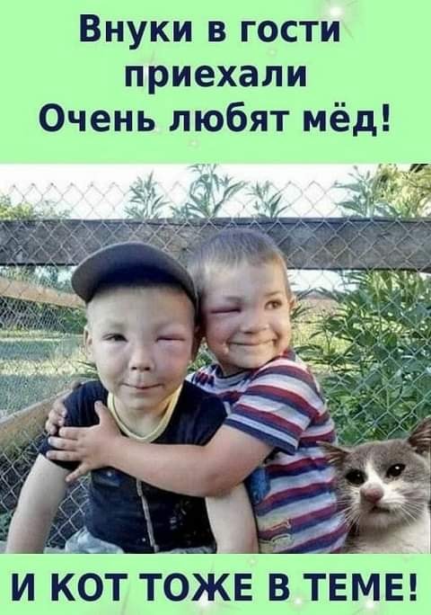 Юмор из интернета 605 позитив,смех,улыбки,юмор