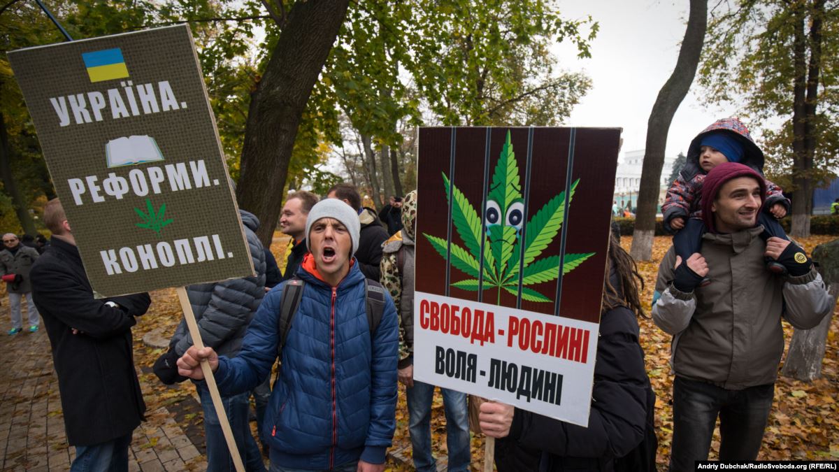 легализуют марихуану в украине