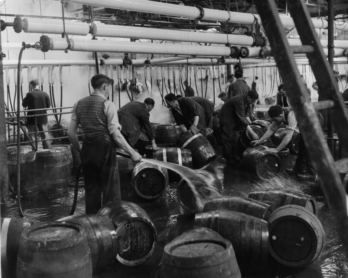 История пива: как варили настоящий «Гиннесс»