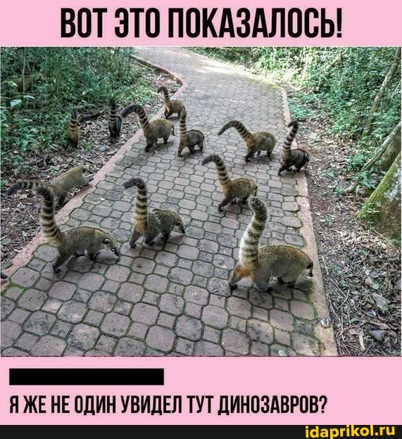 — Дорогой, когда мы поженимся, я буду делить с тобой все твои тревоги и заботы… — Дорогой, когда мы поженимся, я буду делить с тобой все твои тревоги и заботы… Весёлые,прикольные и забавные фотки и картинки,А так же анекдоты и приятное общение