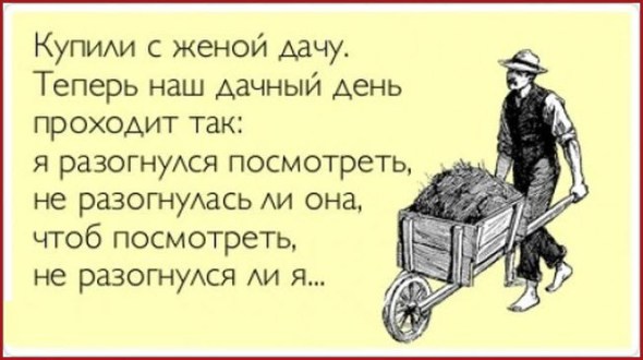 Дачные развлечения