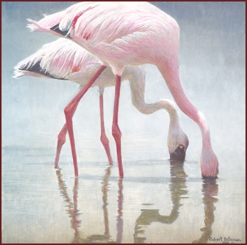 Художник Роберт Бейтман | Robert Bateman (363 работ)