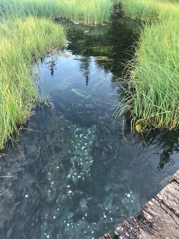 Путешествие на Алтай. К Голубому озеру через перевал Чике-Таман 