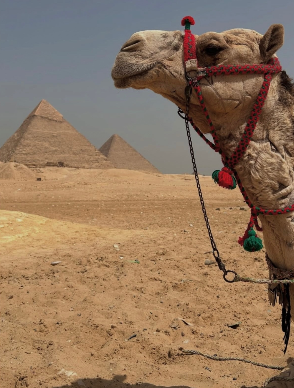 Какую мечту исполнил телеведущий Дмитрий Шепелев в день рождения жены — Екатерины Тулуповой Шепелев, Платон, вместе, который, Екатерина, телеведущий, Дмитрий, поделился, отношений, социальных, сетях, Катей, ровно, певицы, также, Дмитрием, давно, глаза, рождения, котором