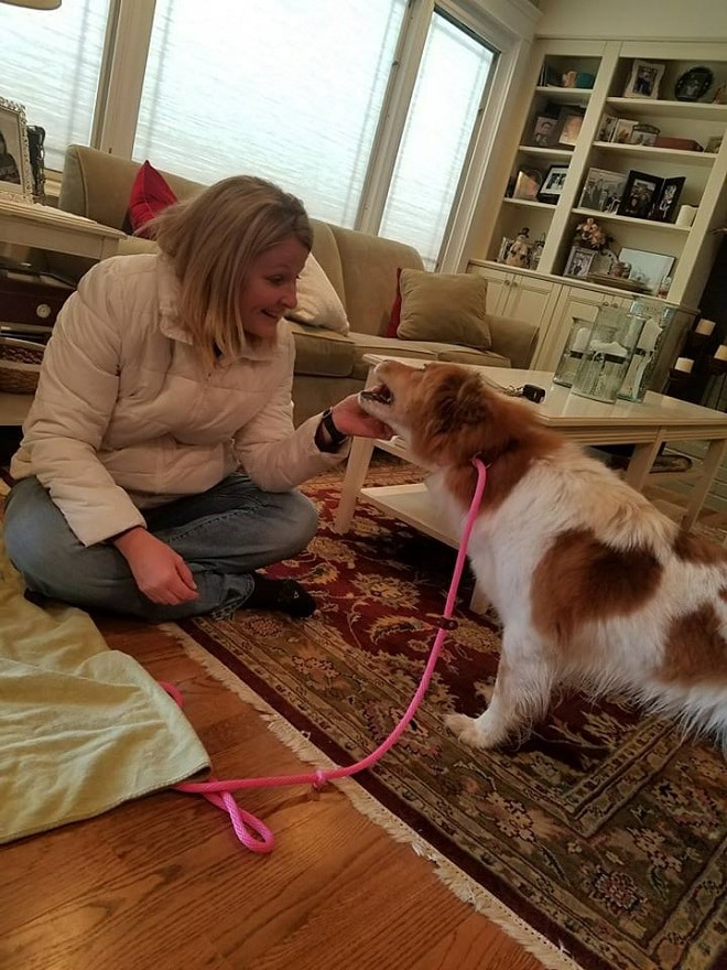 Собака и женщина