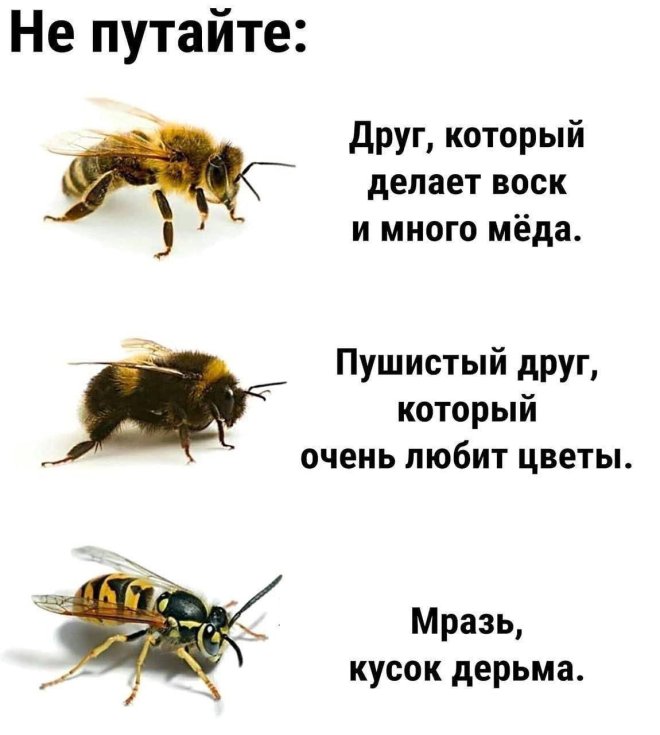 Смешные картинки с юмором и планы на лето Смешные картинки с юмором и планы на лето