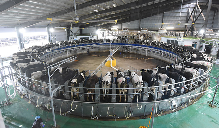 УБИТЬ С ПОМОЩЬЮ ДИЕТЫ: УЧЁНЫЕ РАСКРЫЛИ ПЛАН ГЛОБАЛИСТОВ УБИТЬ С ПОМОЩЬЮ ДИЕТЫ: УЧЁНЫЕ РАСКРЫЛИ ПЛАН ГЛОБАЛИСТОВ геополитика