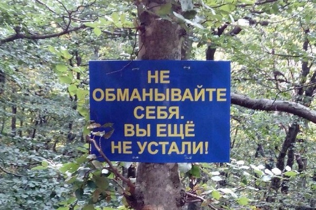 20 табличек и объявлений, которые такие же сумасшедшие, как наша жизнь 20 табличек и объявлений, которые такие же сумасшедшие, как наша жизнь