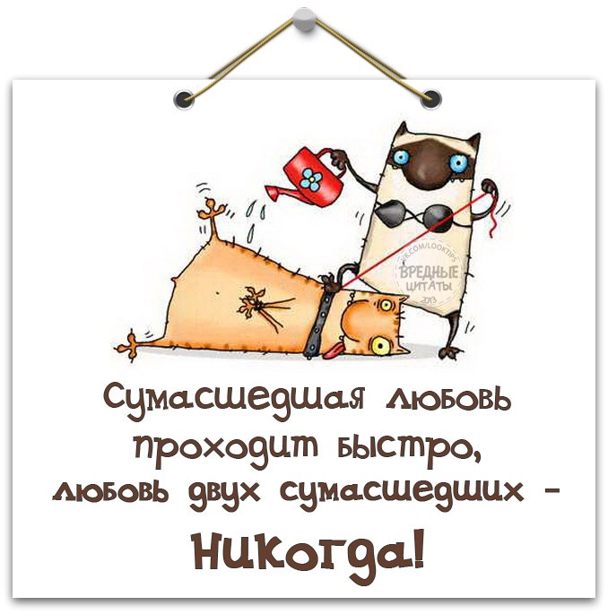 Открытки, прикольные открытки выражения