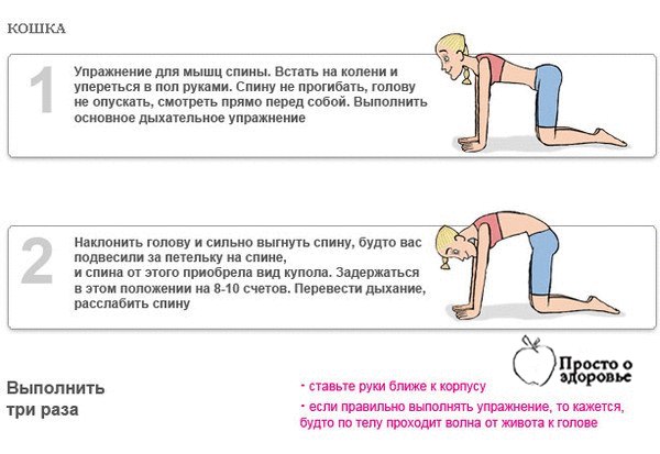 Правильное Похудение Дыхательная Гимнастика. Техники дыхательной гимнастики для похудения и здоровья
