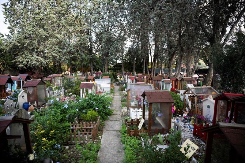 Старейшее кладбище животных в Италии, которому уже 100 лет
