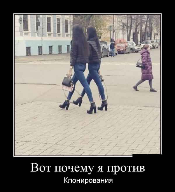 Прикольные и свежие демотиваторы для хорошего настроения из сети Прикольные и свежие демотиваторы для хорошего настроения из сети демотиваторы, подловили, приколы, юмор