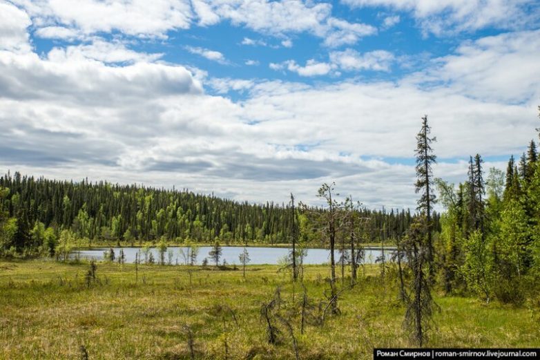 Северная сказка: заповедная Карелия Северная сказка: заповедная Карелия