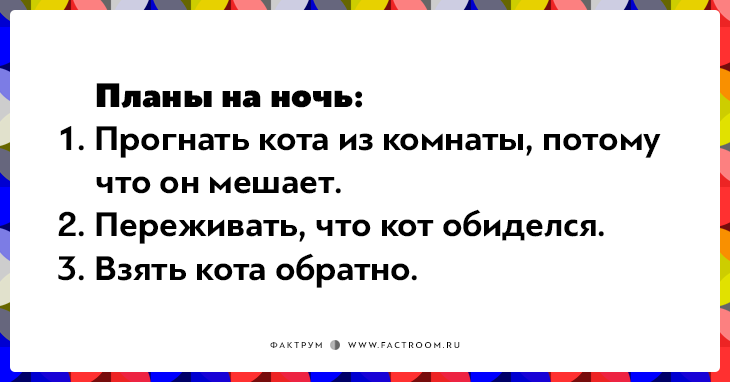 20 открыток о нелегкой жизни котов и их владельцев 20 открыток о нелегкой жизни котов и их владельцев
