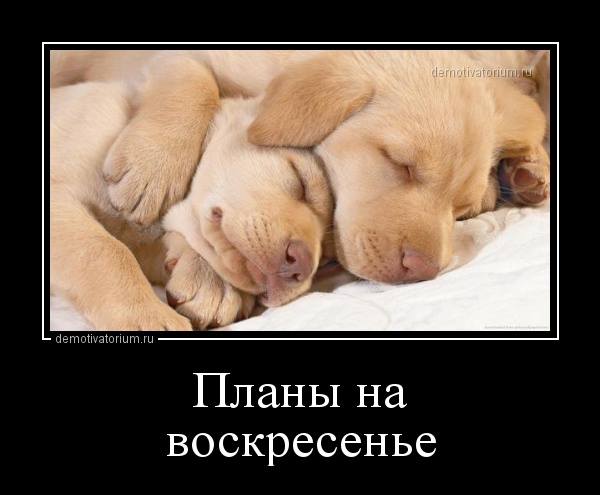 Картинки для вашего отличного настроения картинки