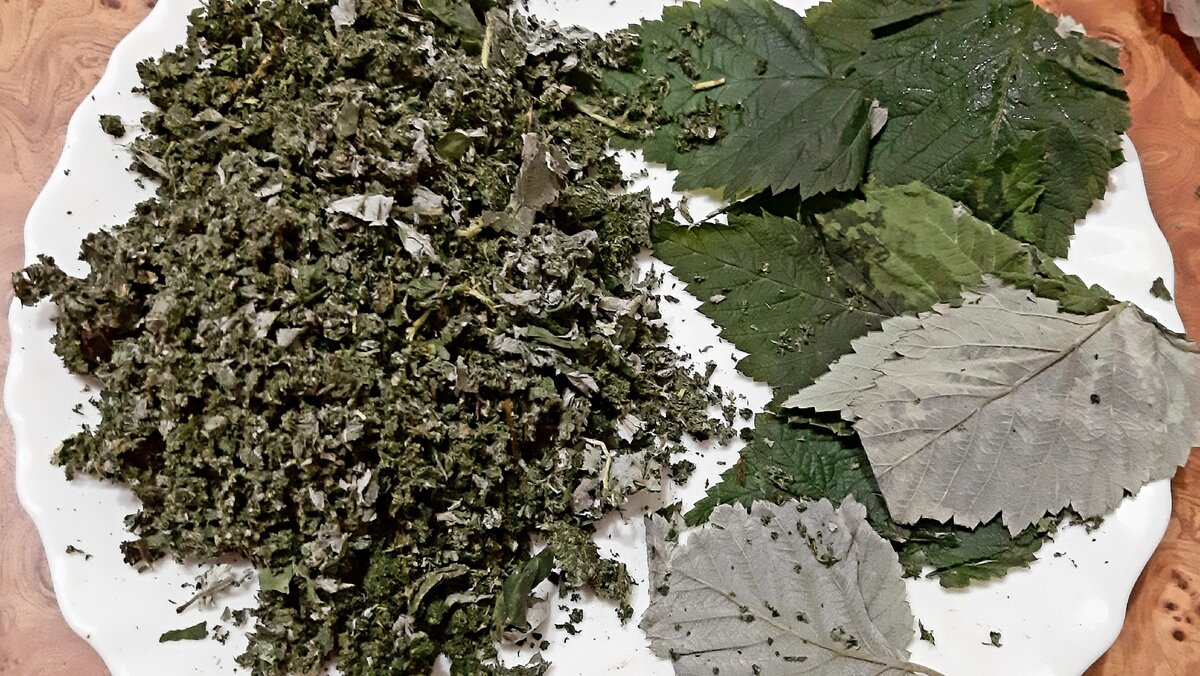 Какие листья малины подходят для чая, когда их собирать и как сушить
