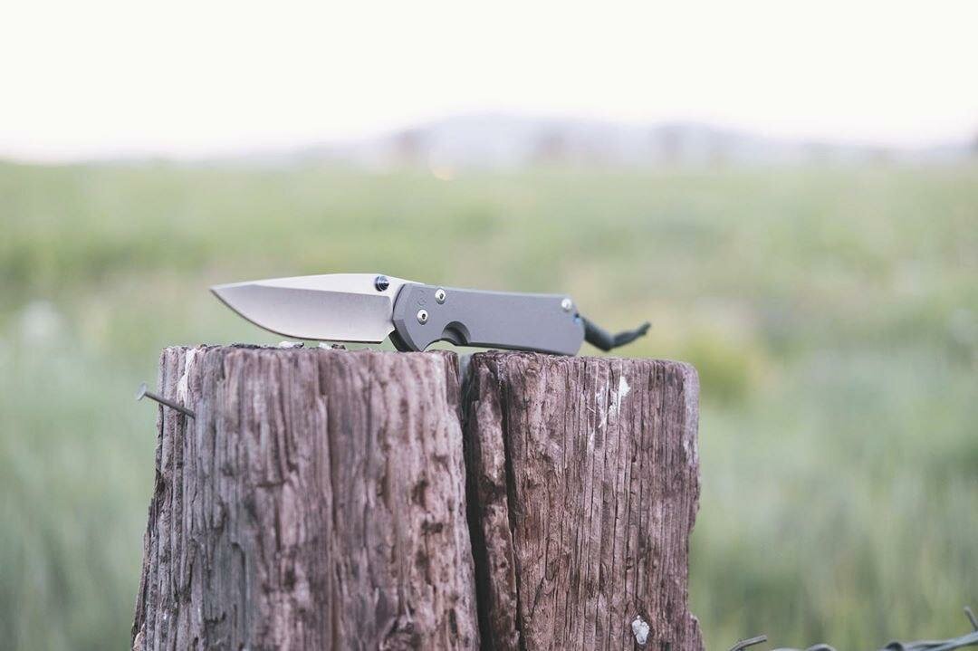 фото взято из https://www.instagram.com/p/B4AinCWpHAA/