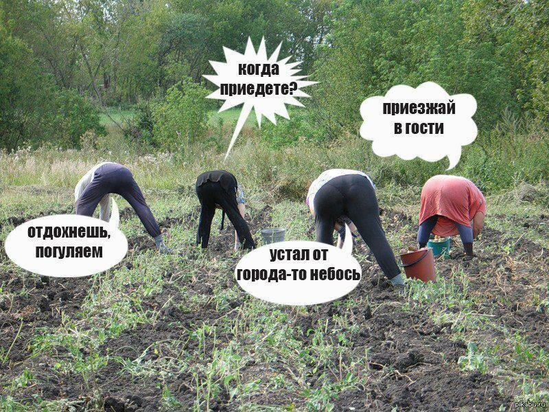 Летием женщине, прикольная картинка про дачу