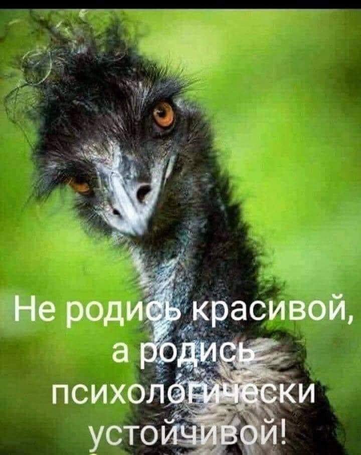 Юмор из интернета 605 позитив,смех,улыбки,юмор