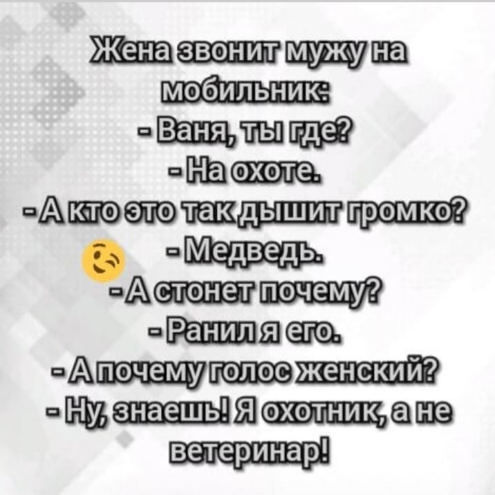 Жена звонит. Жена звонит мужу Ваня ты где на охоте. Жена звонит мужу на мобильник Ваня ты. Парень пришел домой и переоделся. Ваня ты где на охоте а кто так громко дышит медведь.