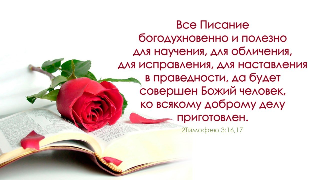 Все писание богодухновенно. Писание богодухновенно и полезно для научения. Всё Писание богодухновенно и полезно. Все в Писании богодухновенно и полезно для научения. Библия все Писание богодухновенно и полезно для научения.