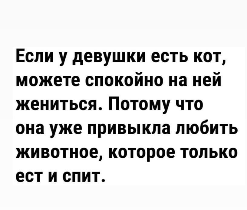 Юмор за день 