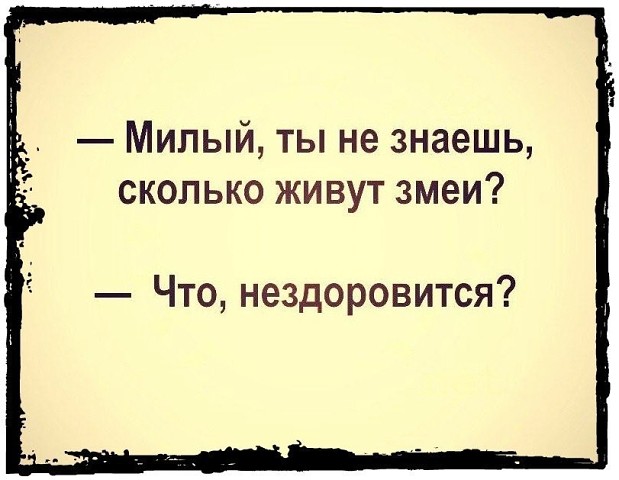 Идет мужчина по улице. Навстречу ему юная красотка. Он думает… юмор, приколы,, Юмор