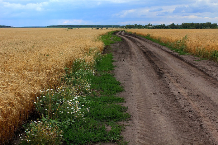 Деревенскими дорогами... 