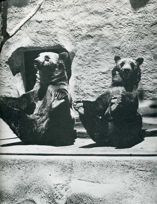 Лови момент истории: 35 самых удачных фото, украшавших журнал LIFE 