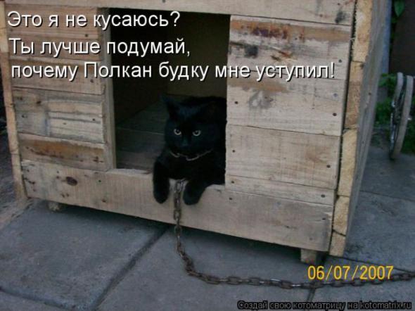 Котоматрицы