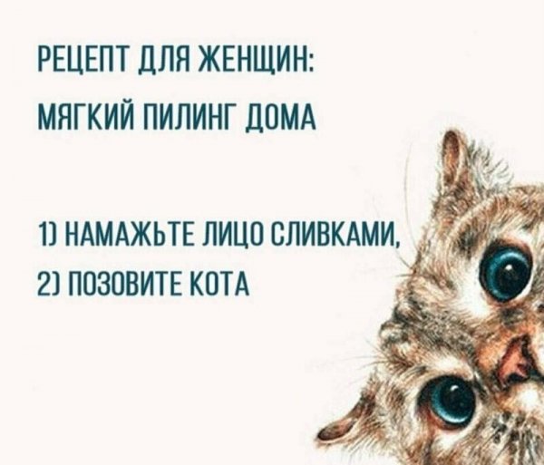 20+ полезных идей на все случаи жизни от умудренных опытом пользователей Сети