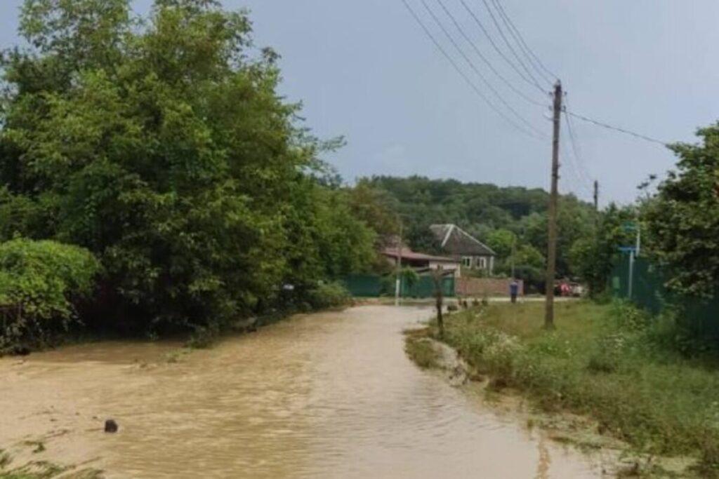 На Кубани при падении автобуса в реку спасли 25 человек