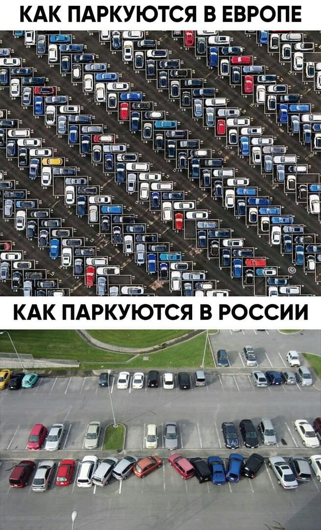 Мемы и картинки 