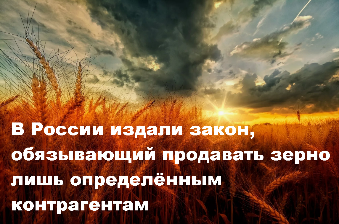 Работа европейских сельскохозяйственных компаний в РФ обусловлена возможностью скупать зерно по внутренним ценам для дальнейшей реализации на мировых торговых площадках.-2