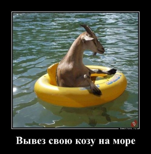 Прикольные демотиваторы для отличного настроения