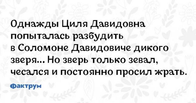 В машине.Она:— Идиот, кретин, придурок!!! Мы только что задавили кошку!!! весёлые