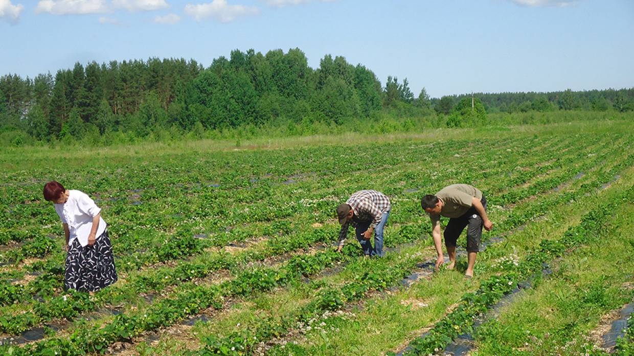 Земли иностранцев. Земельный участок для бизнеса. Территории россии отданные другим государствам. Карта черноземов украины. Иностранный гражданин может.