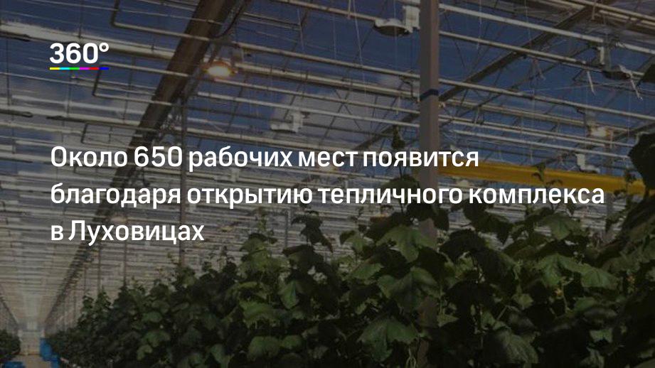 Около 650 рабочих мест появится благодаря открытию тепличного комплекса в Луховицах