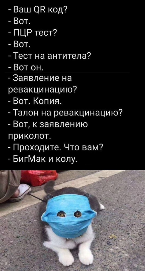 Юмор из интернета 667 Юмор из интернета 667 позитив,смех,улыбки,юмор