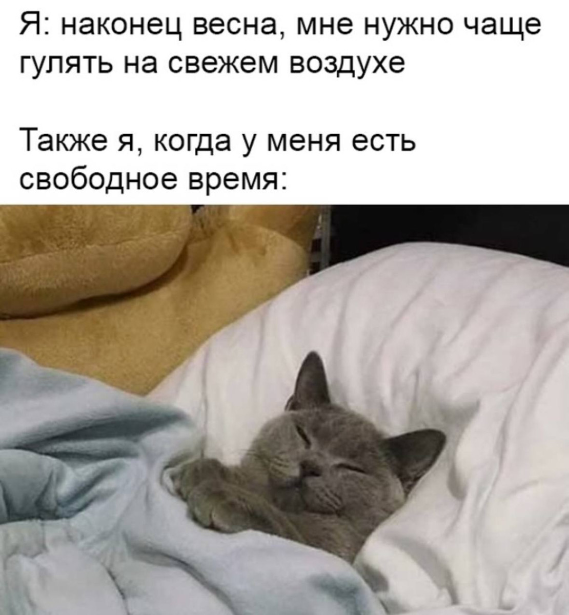 Вежливость стала такой редкостью, что некоторые принимаю ее за флирт 